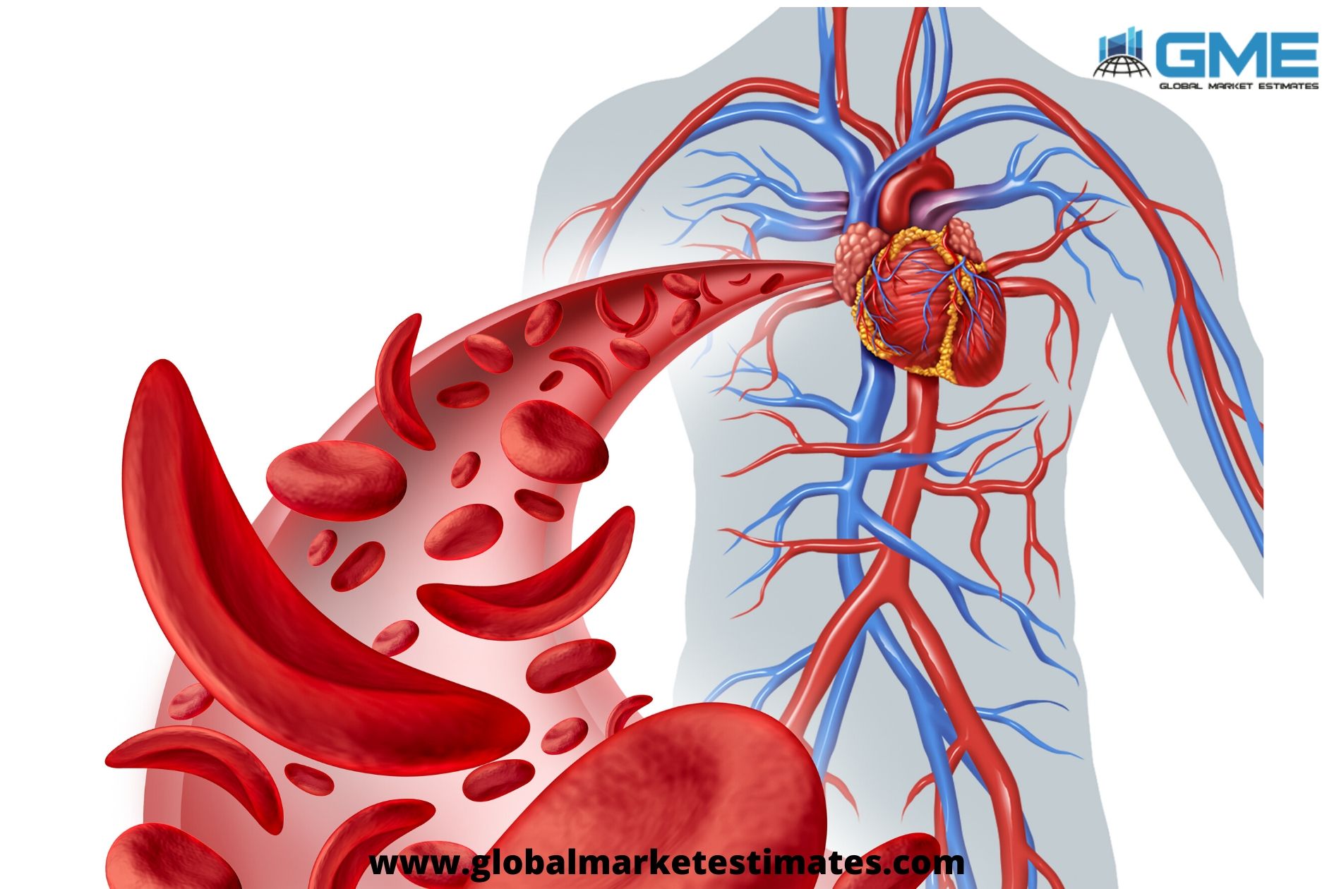 global circulating tumour cell market 